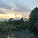 thumb_IMG_0245_1024