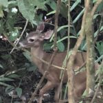 thumb_IMG_0759_1024