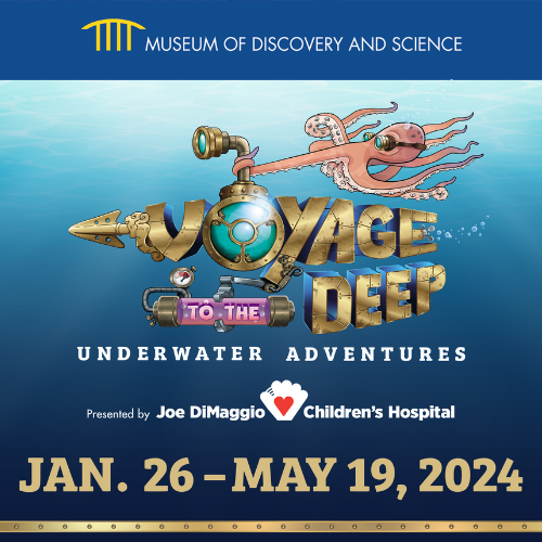 Voyage to the Deep Graphic